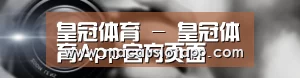 公司动态
