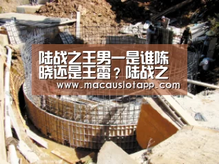 陆战之王男一是谁陈晓还是王雷?陆战之王剧情介绍【huangguanyule】(图2) 陆战之王男一是谁陈晓还是王雷?陆战之王剧情介绍【huangguanyule】(图2)