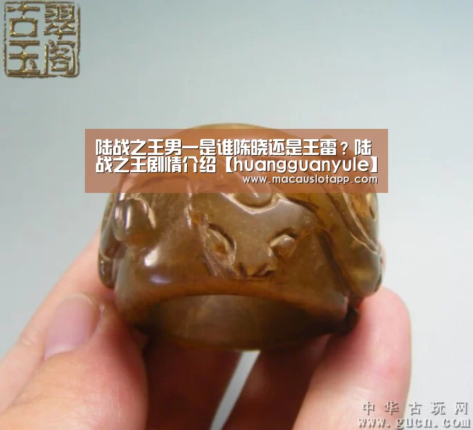 陆战之王男一是谁陈晓还是王雷?陆战之王剧情介绍【huangguanyule】(图3) 皇冠app官网