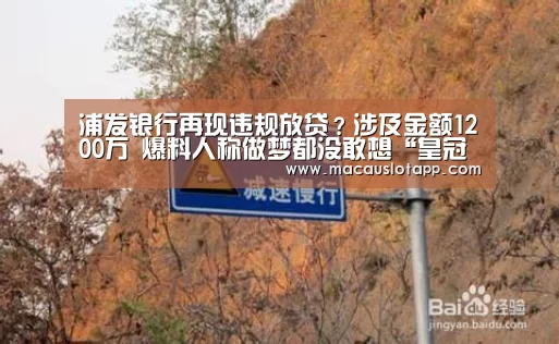 浦发银行再现违规放贷?涉及金额1200万 爆料人称做梦都没敢想“皇冠app官网”(图2) 皇冠app